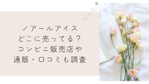 ノアールアイスどこに売ってる?コンビニ販売店や通販・口コミも調査